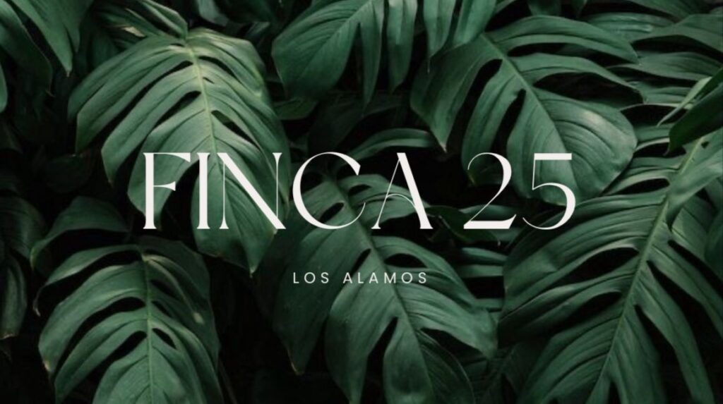 Finca 25